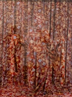 Red Pattern - from the series Anonymous Women: Draped  - Patty Carroll